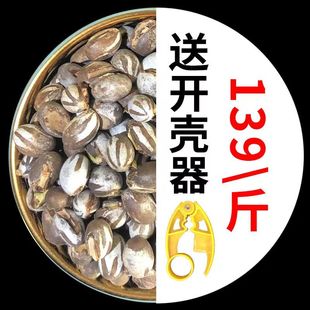 杨拉罐洋辣子罐蛋活包邮幼虫高蛋白粮食钓鱼鱼饵鸟仓鼠零食坦克虫