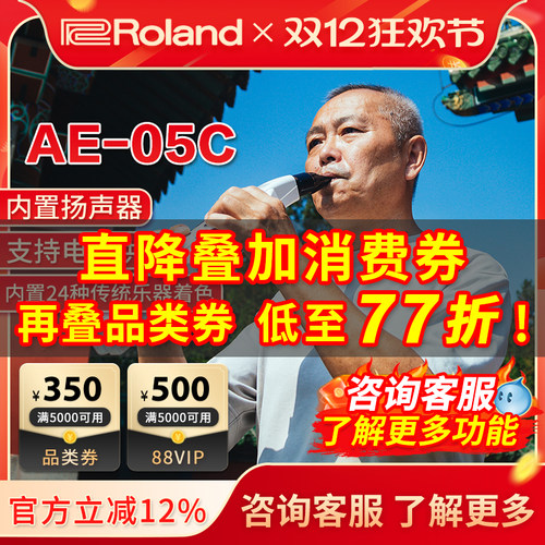 罗兰AE05C电吹管Roland