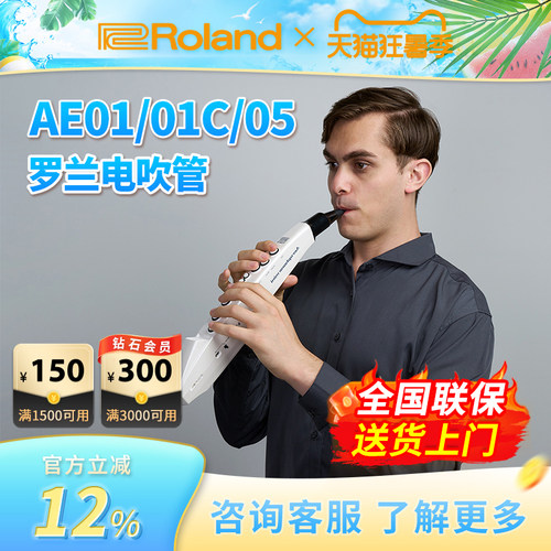 罗兰AE01C电吹管Roland