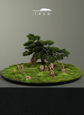 天青苔绿永生苔藓中式微景观摆件