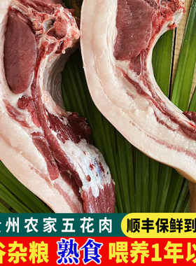 贵州农家正宗老品种纯粮食大肥猪新鲜五花肉三线肉偏肥现杀土猪肉