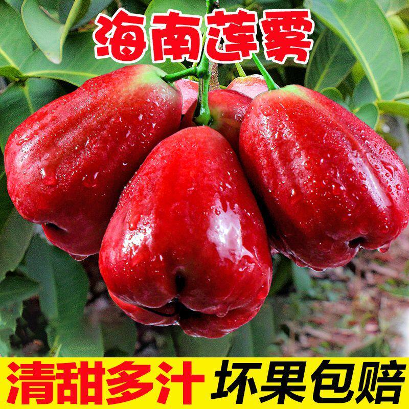 新鲜海南红宝石莲雾5斤热带水果雾莲果应季水果一整箱仙女果莲雾