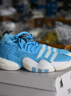 Adidas Trae Young 2 特雷杨二代 男子减震透气实战篮球鞋 H06479