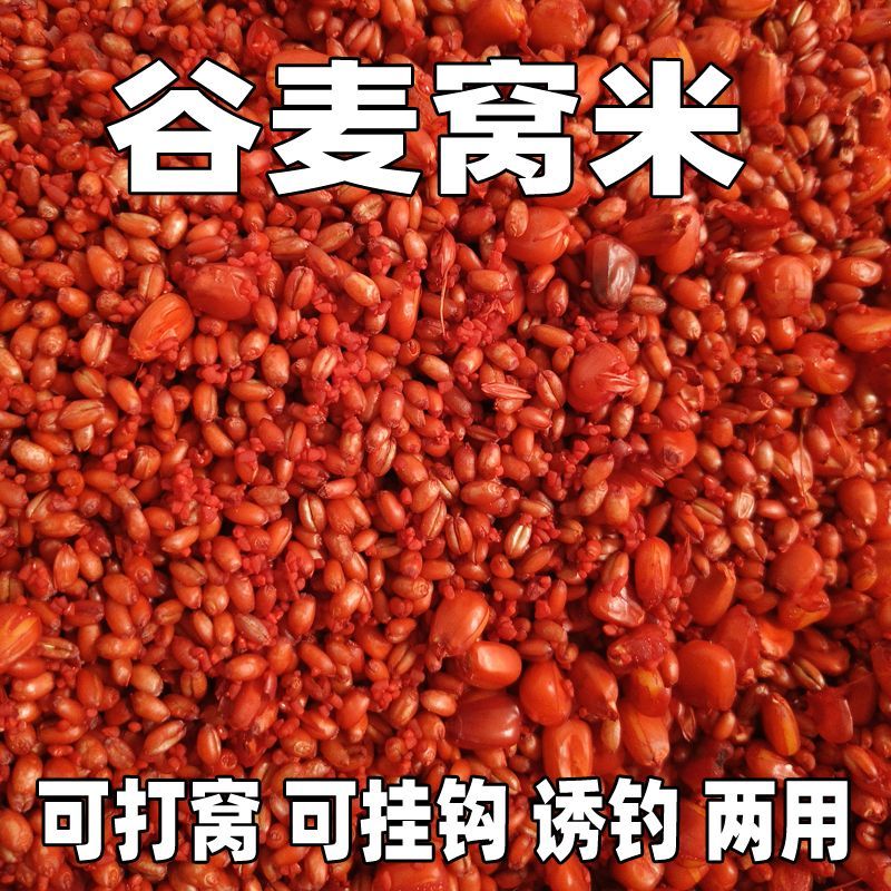 谷麦窝料野钓鲫鱼鲤鱼钓鱼打窝料鱼饵发酵底窝料麦粒诱鱼饵料