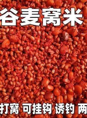 谷麦窝料野钓鲫鱼鲤鱼钓鱼打窝料鱼饵发酵底窝料麦粒诱鱼饵料