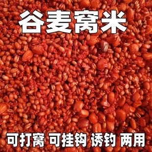 谷麦窝料野钓鲫鱼鲤鱼钓鱼打窝料鱼饵发酵底窝料麦粒诱鱼饵料