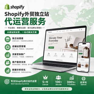 shopify陪跑代运营谷歌独立站推广facebook脸书广告投放指导咨询
