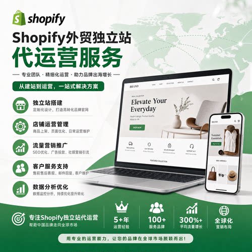 shopify陪跑代运营谷歌独立站推广facebook脸书广告投放指导咨询