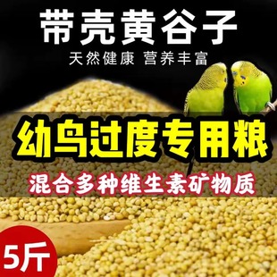 新黄谷子带壳小米虎皮玄凤牡丹黄化幼鸟鹦鹉鸟食饲料鸟粮食物5斤