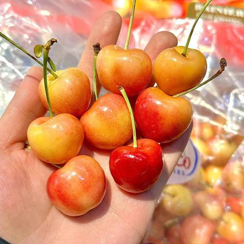 智利进口雷尼尔黄金车厘子3斤礼盒装新鲜时令大果黄色大樱桃顺丰