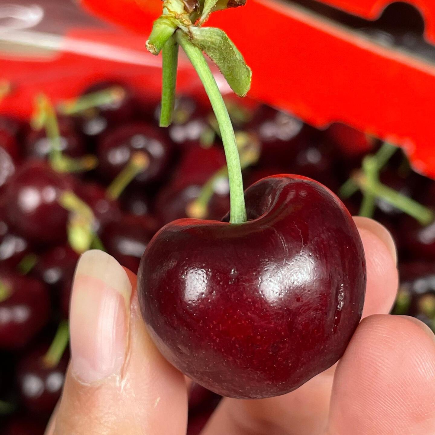 智利空运车厘子新货精选大果