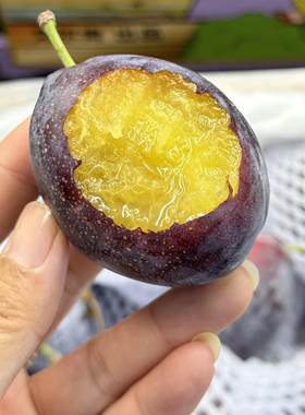 新疆空运紫蜜西梅当季新鲜水果孕妇李子西梅甜蜜当季时令水果礼盒