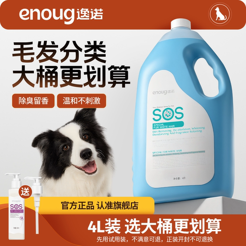大狗就要用大桶宠物店推荐