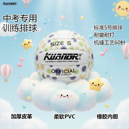 排球中考专用训练比赛排球初中生标准5号硬排高颜值高弹耐磨耐打