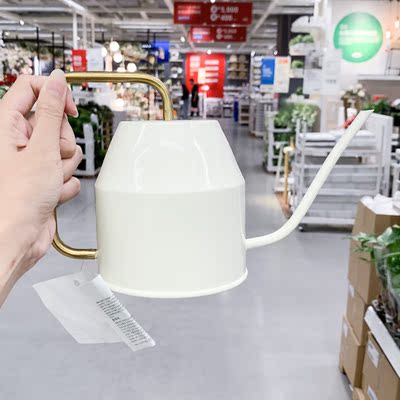铁艺金属长嘴ins风正品浇花壶