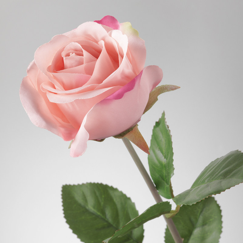 IKEA宜家 思米加人造花玫瑰花 现代花艺家居仿真花卉绢花装饰摆设
