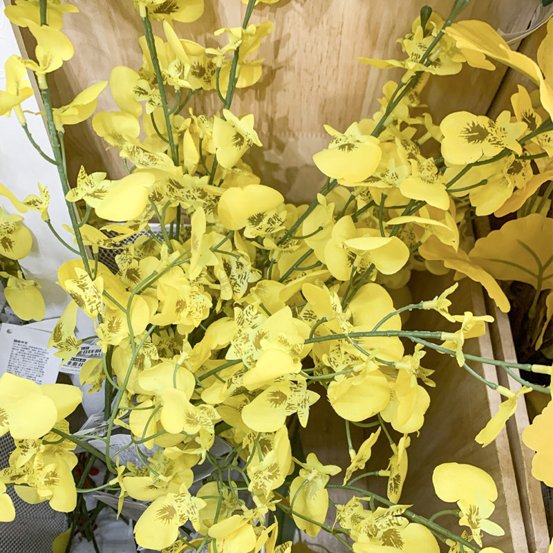 IKEA宜家仿真花黄色兰花花艺装饰