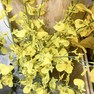IKEA宜家 思米加人造花兰花黄色 现代家居仿真花卉花艺装饰摆设