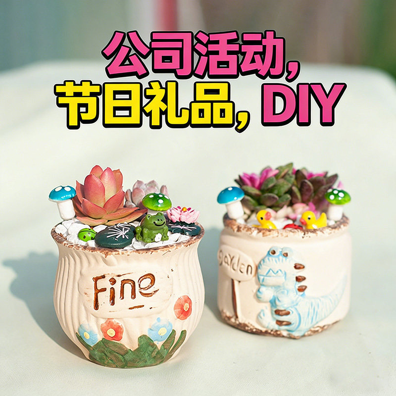 卡通造型带盆多肉组合盆栽礼品