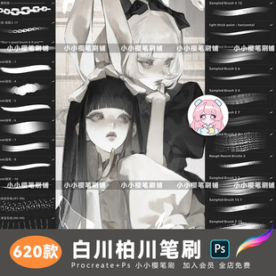procreate笔刷白川柏川零基础新手绘画厚涂ps笔刷iPad手绘板素材