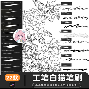国风工笔procreate笔刷画白描勾线临摹控笔毛笔丝滑水墨笔刷素材