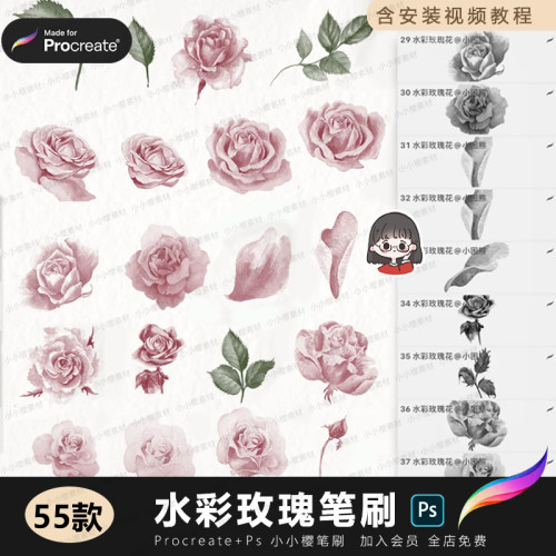 水彩玫瑰花procreate笔刷ps花瓣效果高清花朵花卉花瓣水粉水墨
