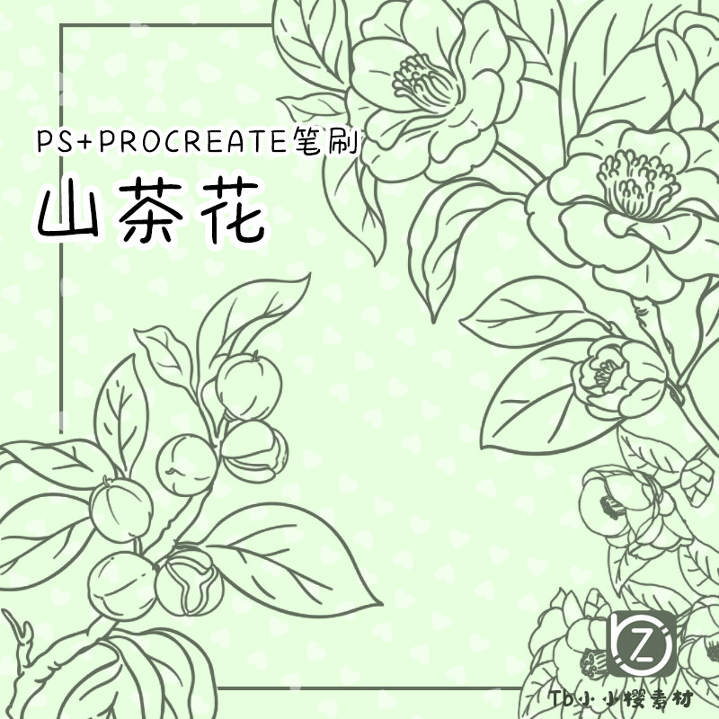 山茶花线稿procreate ps笔刷手绘山茶花线描线条花枝花卉植物素材