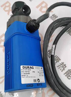德国 DURAG杜拉格 火焰检测器 D-LX101 IG-30现货原装全新