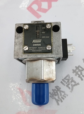美国Fema菲玛  压力开关 DWR06 现货
