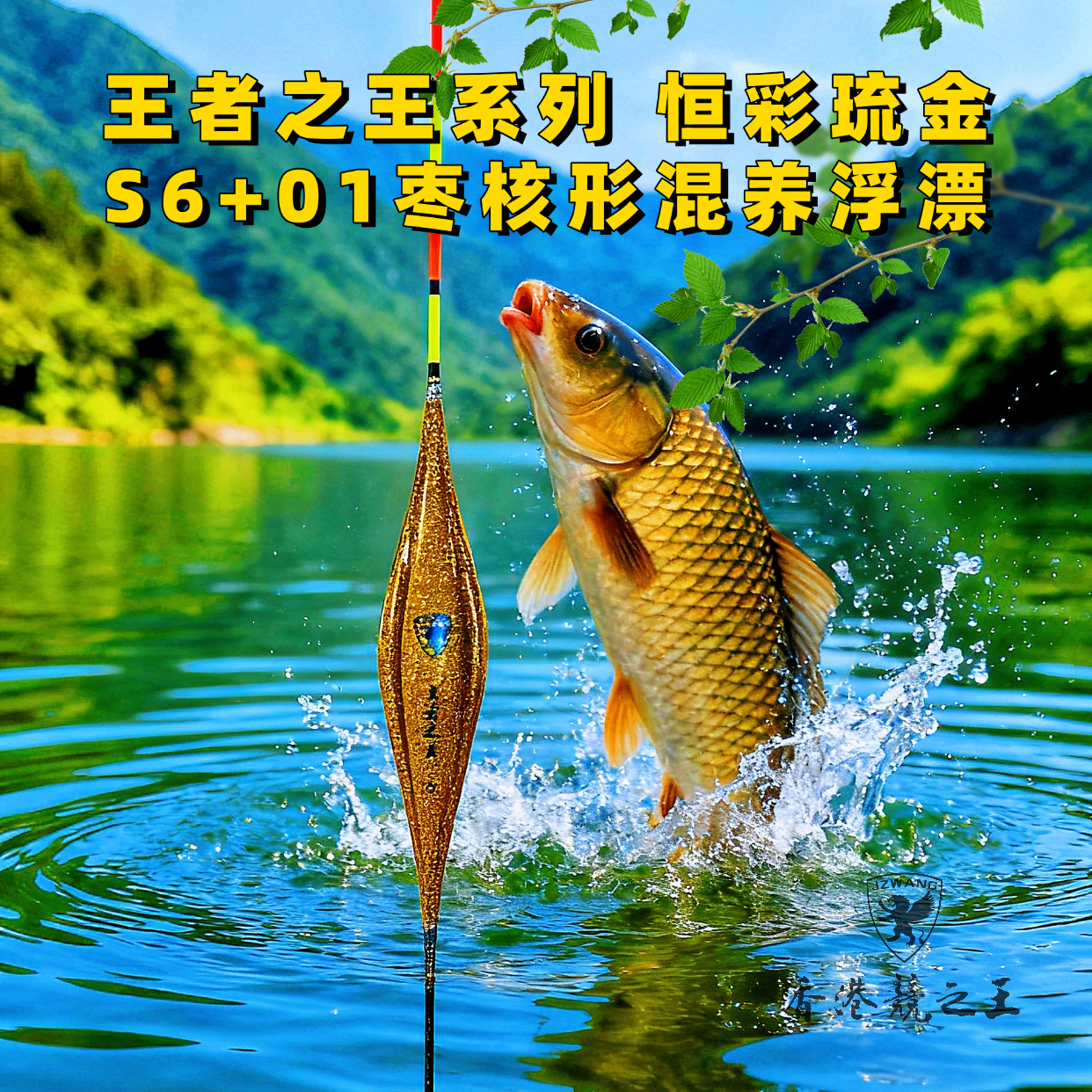 S6+01枣核型混养纳米浮漂 大扁尾 恒彩琉金王者之王 香港竞之王