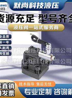 DEKEMA德克玛 WDBW型5X系列隔爆先导式电磁溢流阀液压控制阀