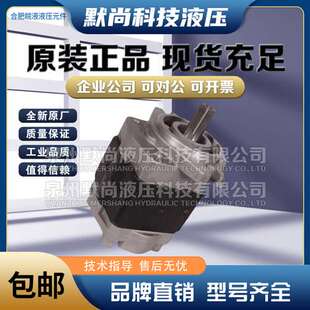 G32 合肥皖液齿轮泵CBHY F4.5 F3.5 AT铸铁液压油泵 G36