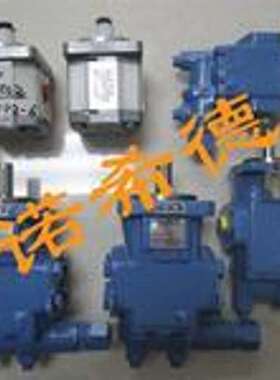 优势供应品牌 德国RICKMEIER泵R25/20 FL-Z-DB-R-SO 334438-9