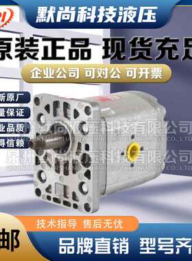 法国HPI齿轮泵P1BAN2004/2006/2008/2010/2012/2014/2015液压油泵