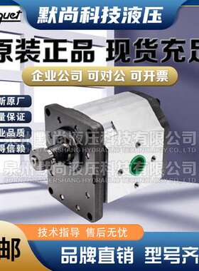 西班牙ROQUET齿轮泵1L12/6/9/16/18/22/24DE10 1L12DE10B液压油泵