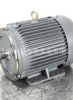 美国Worldwide Electric马达 减速机 电机PEWW5-18-184TC