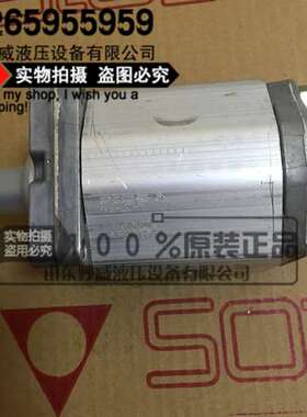 意大利ATOS阿托斯齿轮泵PFG-187-D PFG-187-D/RO 现货