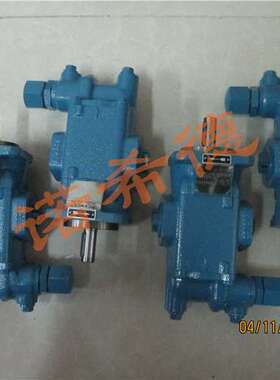 优势供应进口品牌 德国RICKMEIER泵R35/63 FL-Z-DBS0 333849-8