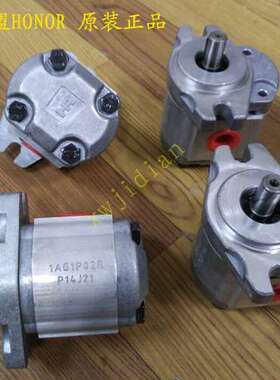 1AG1P02R 1GG1P02R高压齿轮泵 台湾HONOR钰盟 全新原装正品
