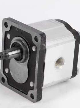 布雷维尼BREVINI齿轮泵双联泵OT100P11 D/G18 OT200P04 S/R OT300