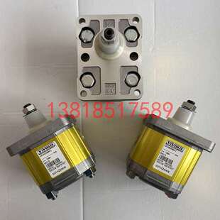 意大利VIVOLO维沃尔齿轮泵X2P4102EBBA X2P4302EBBA X2P4502EBBA