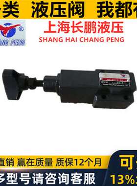 上海长鹏SHANGHAI CHANGPENG远程溢流阀DT-01-31 DG DT - 01 02
