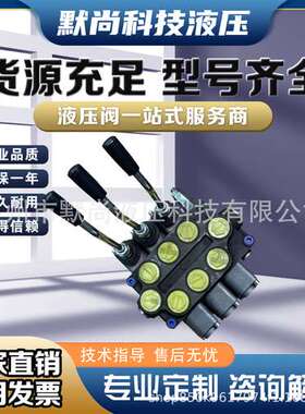 ZD102 ZT12液压多路阀手动换向阀 双向分配阀 控制单双向油缸马达