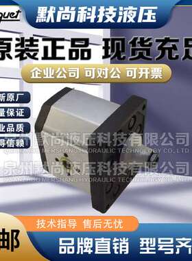 西班牙ROQUET齿轮泵1L12/6/9/16/18/22/24DE10 1L27DE16R液压油泵