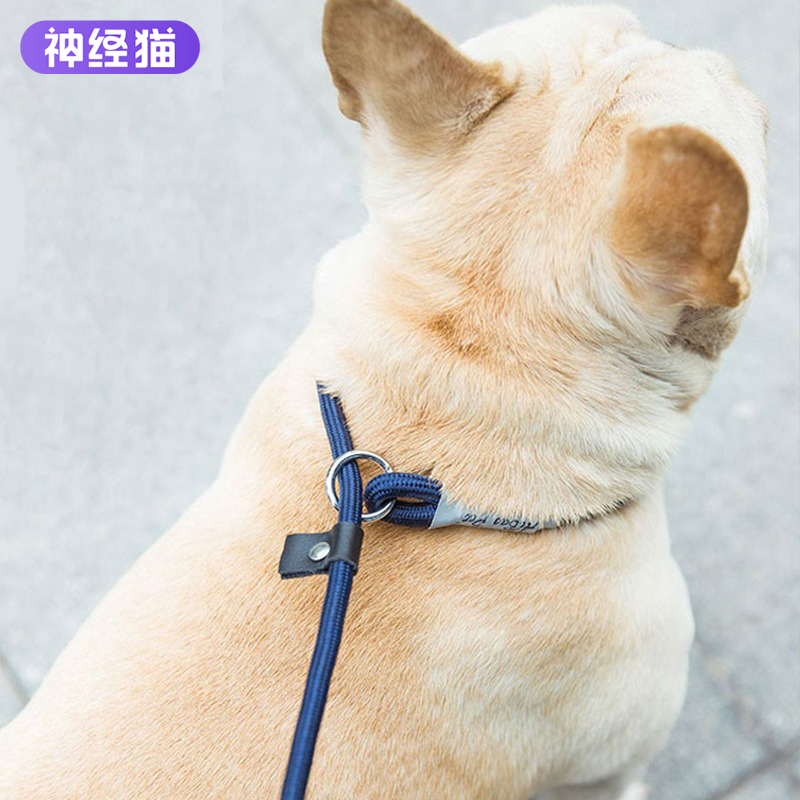 狗狗牵引绳栓溜链套小型犬