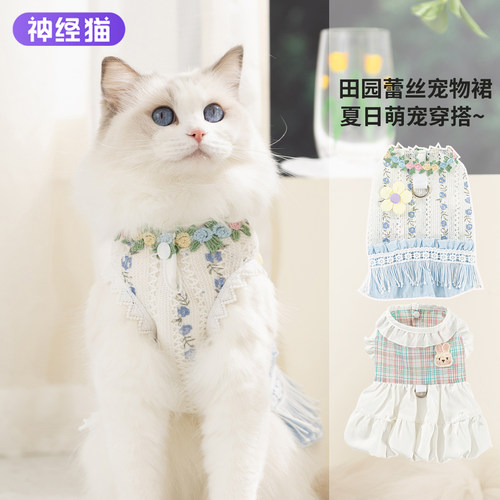 幼猫衣服春夏薄款牵引裙德文无毛猫小猫衣服不勒防掉毛宠物服饰