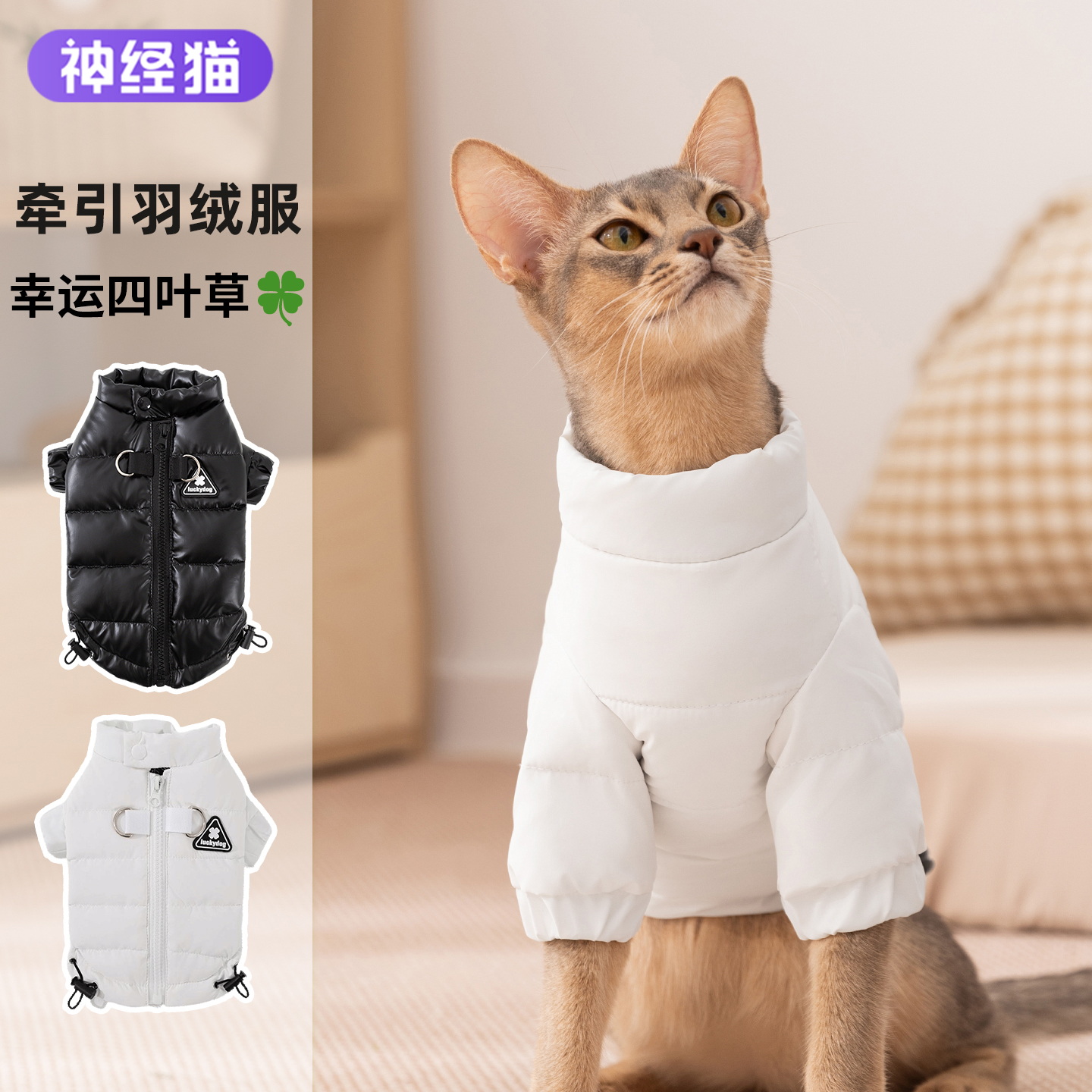 秋冬季猫咪衣服加厚保暖