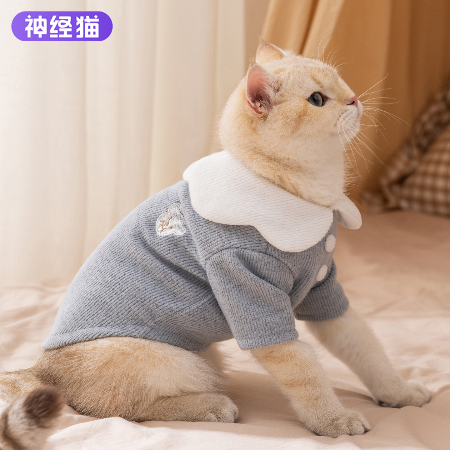 猫咪衣服防掉毛透气空调背心春夏款布偶德文狗狗夏季防晒薄款衬衫