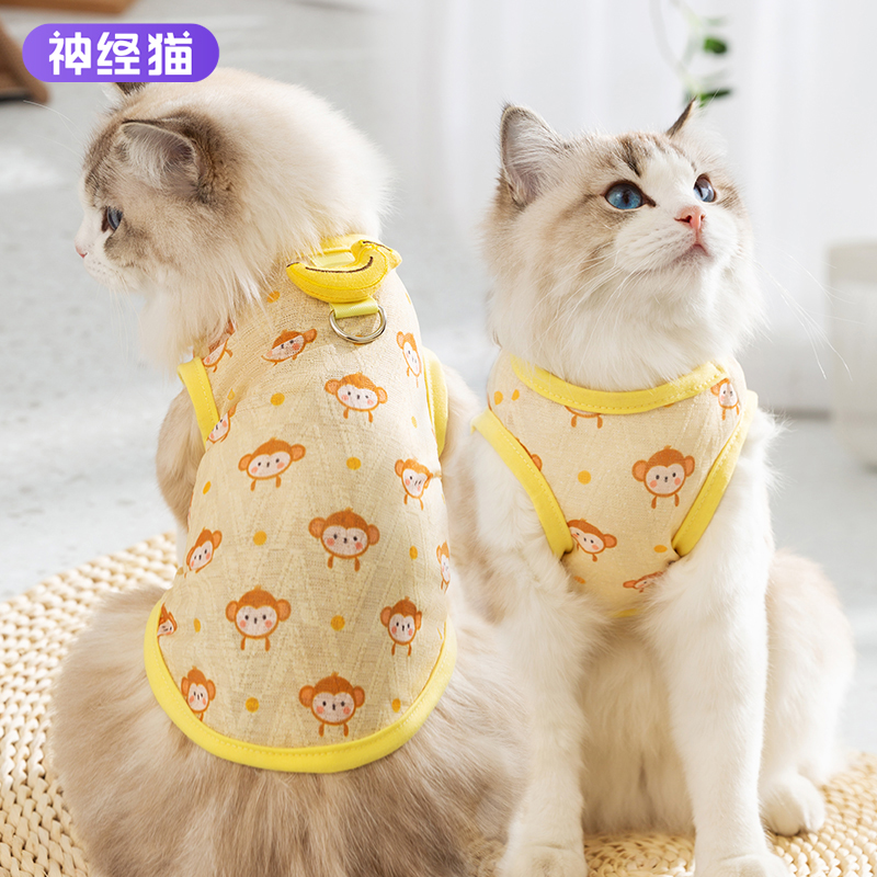 猫咪衣服防掉毛夏季薄款英美短蓝猫布偶猫小型犬泰迪狗狗夏天背心