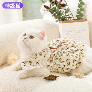 小猫咪衣服冬森系碎花加绒裙幼猫猫布偶猫蓝猫宠物服装 防掉毛冬季